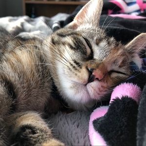 Meet your Posher, Audrey